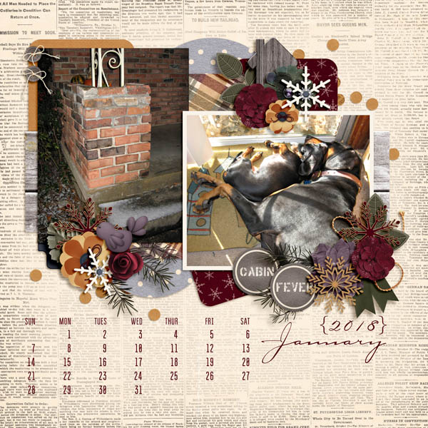 January calendar