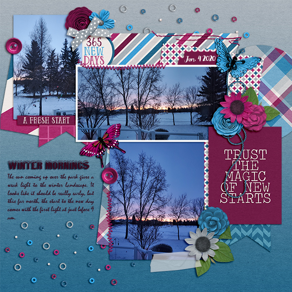January Dawn