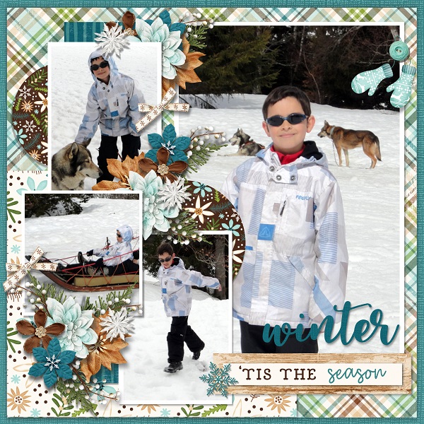 January days collection