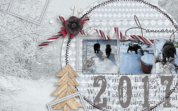 January Desktop