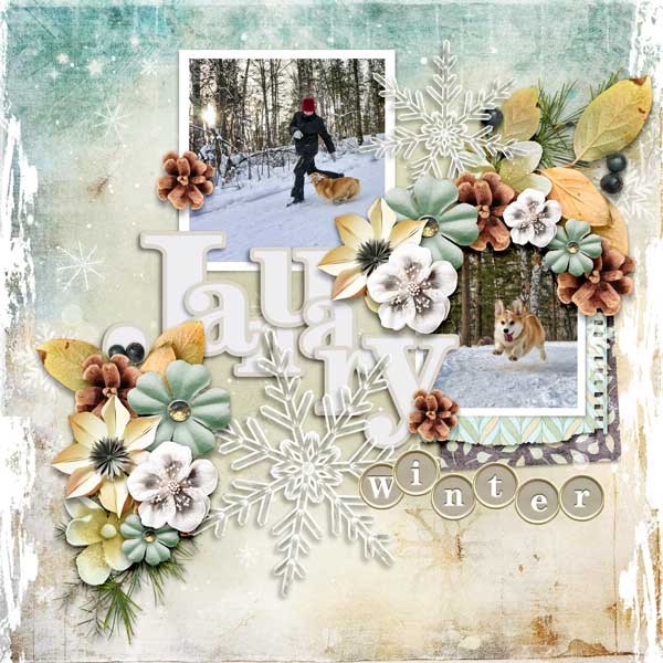 january-feeling-carol-w
