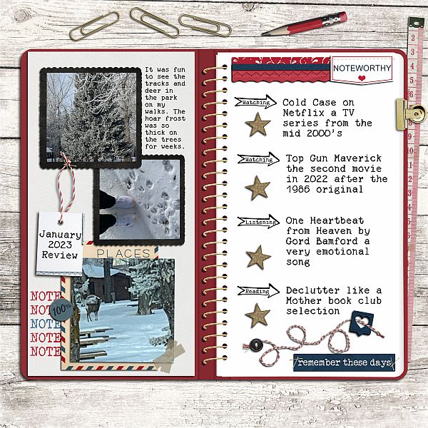 January In Review