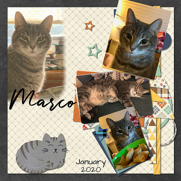 January Marco