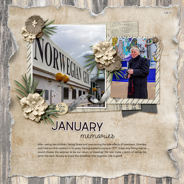 January Memories