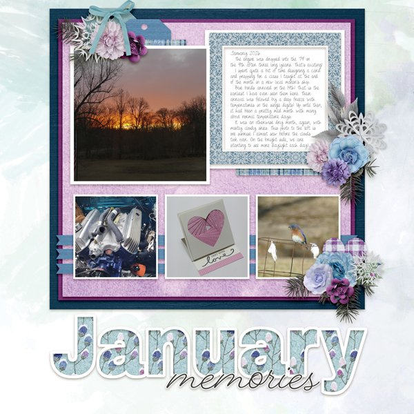 January Memories