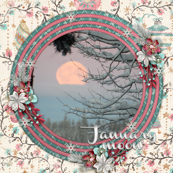 January-moon
