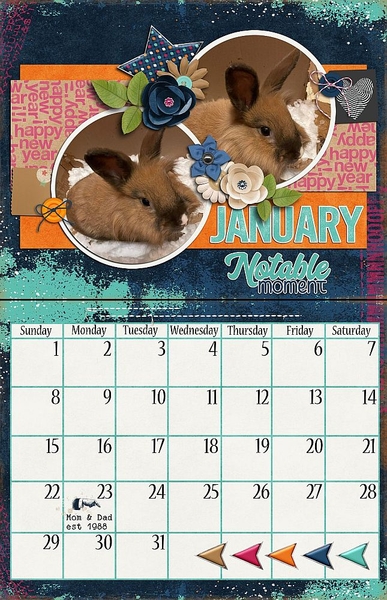 January Notable Moments