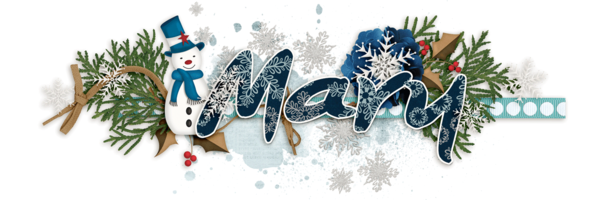January siggy