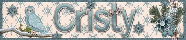 January Siggy