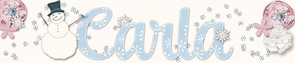 January Signature