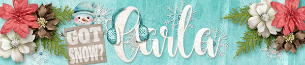 January Signature