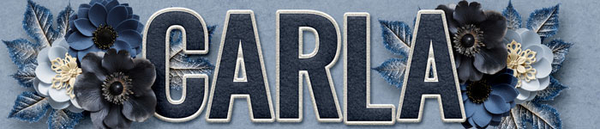 January Signature