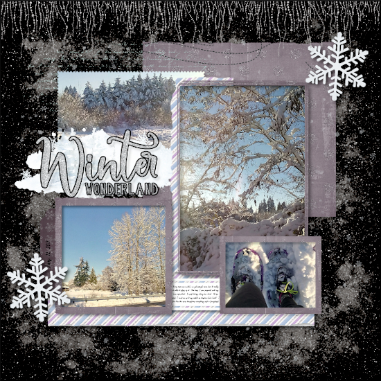 January Snow 2017