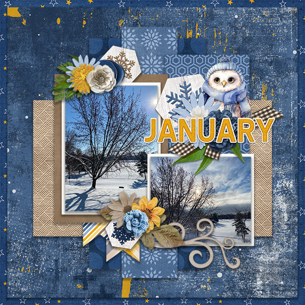 January snow 2023