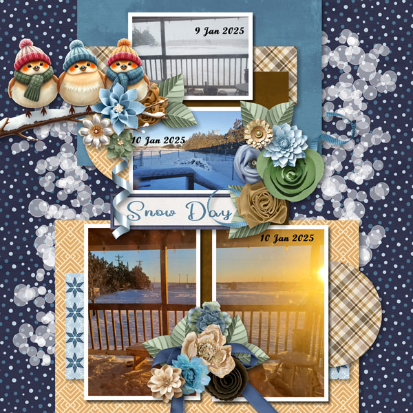 January Snow Day