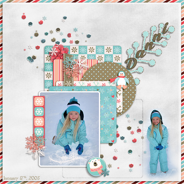 January Snow