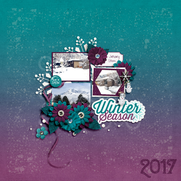 January Snow