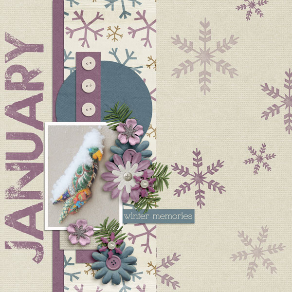 January Snow