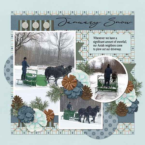 January Snow