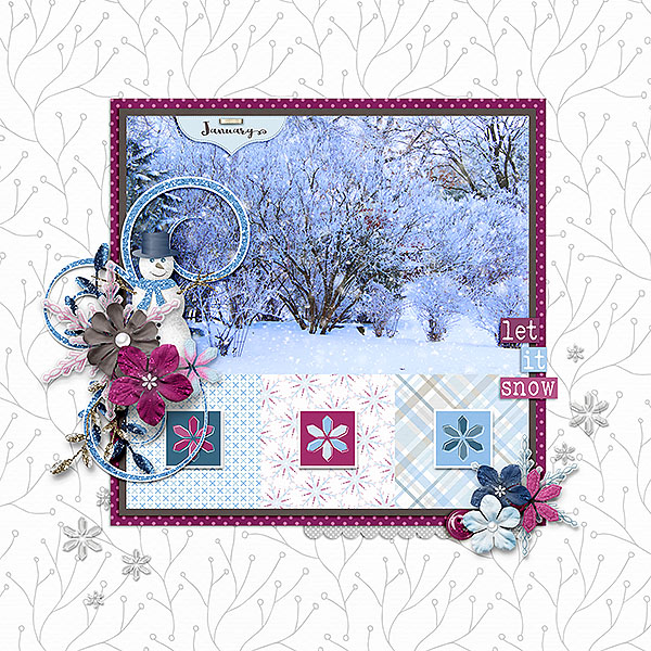 January Snow