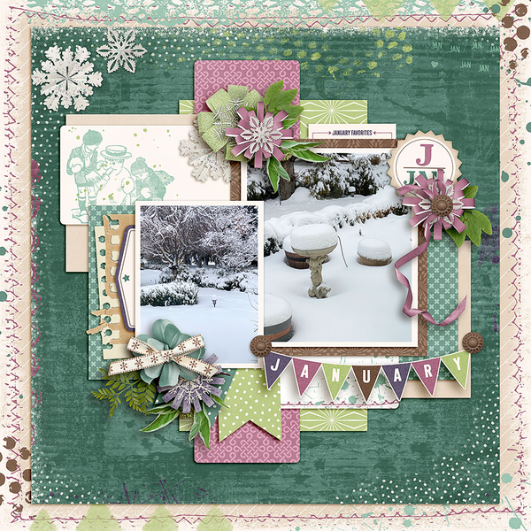 January-Snow