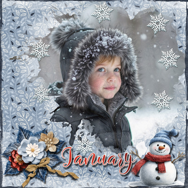 January Snowfall
