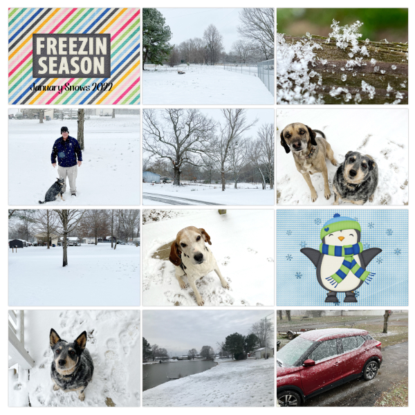 January Snows