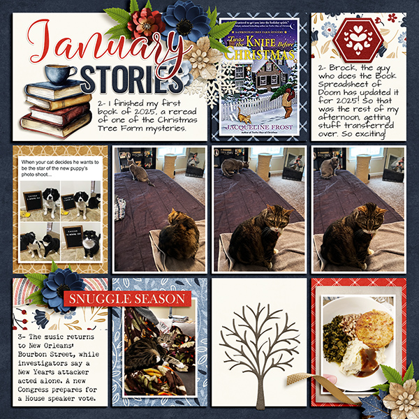 January Stories 2025 2