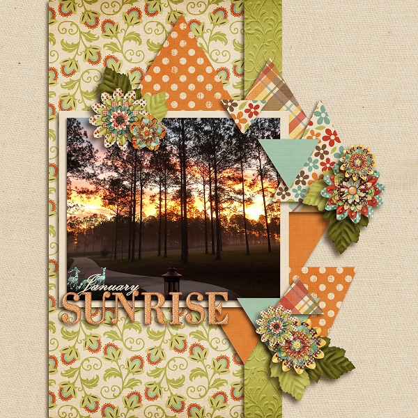 January Sunrise