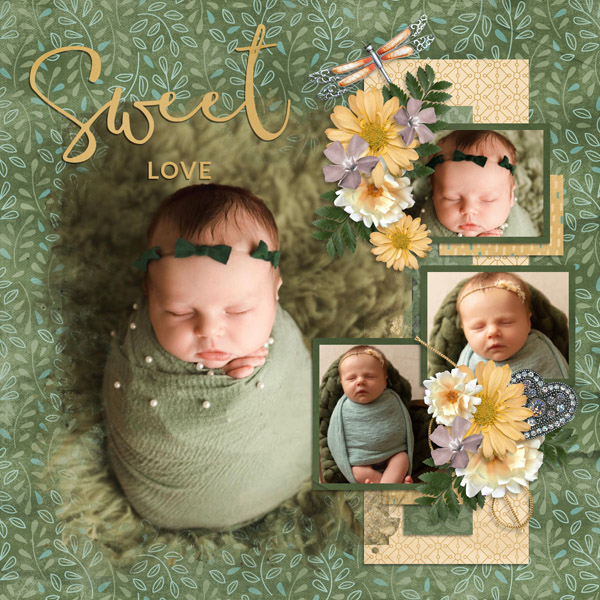 January Template 4-Tinci Resolute-Aimee