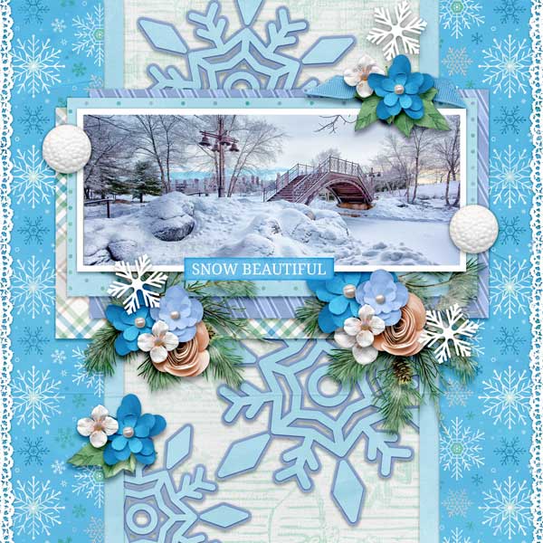 january-vibes-aimee-harriso