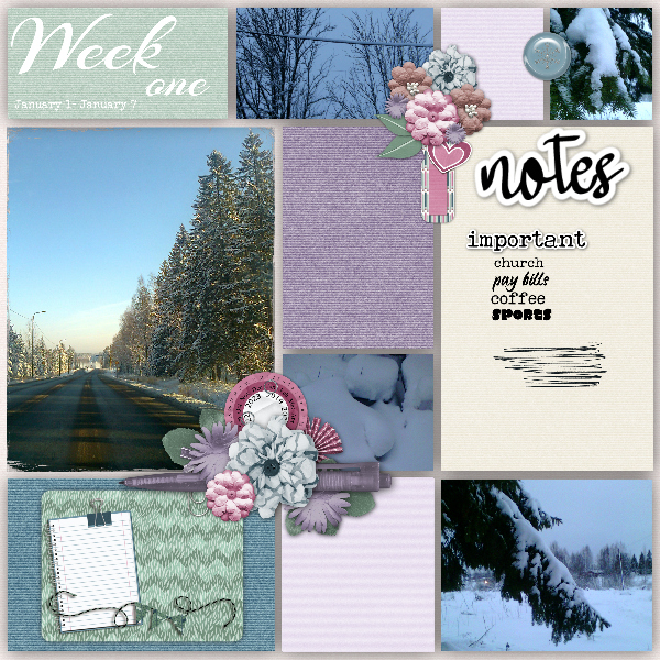 January week 1