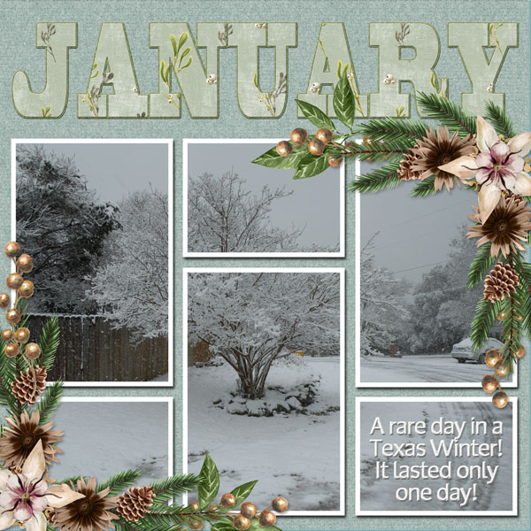 JANUARY