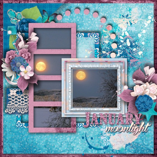 January_moonlight
