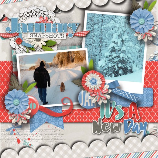 January_snapshots