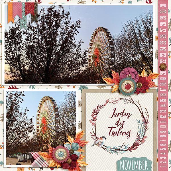 Jardin