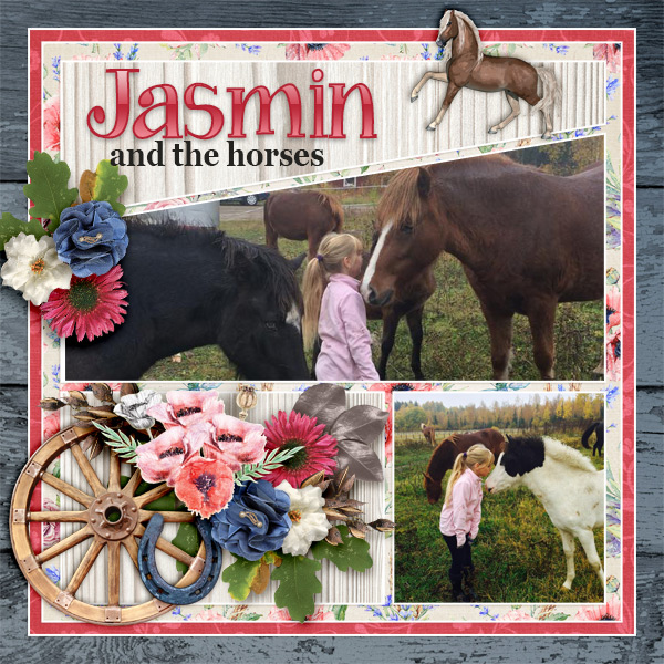 Jasmin-and-the-horses1