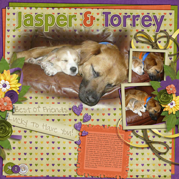 Jasper and Torrey