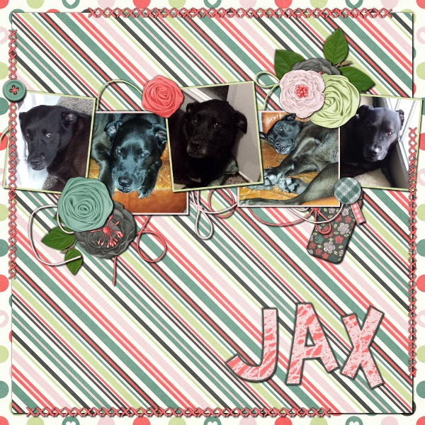 Jax
