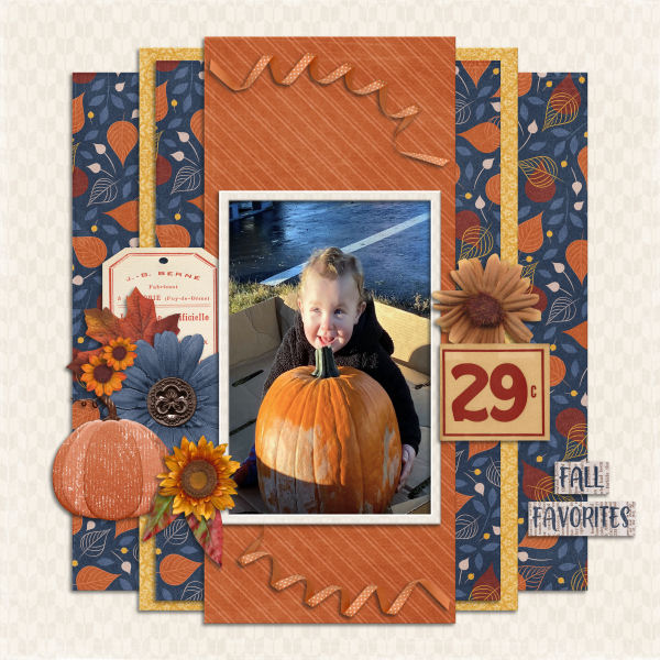 Jaxon Pumpkin Patch