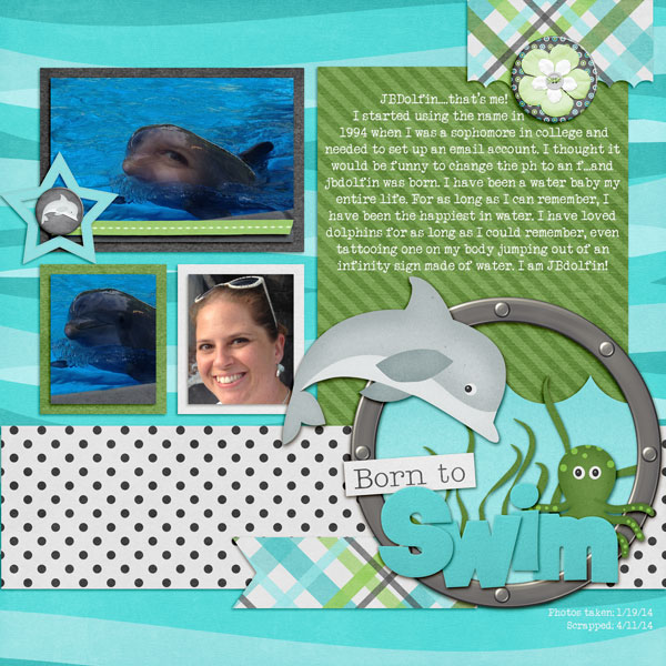JBDolfin