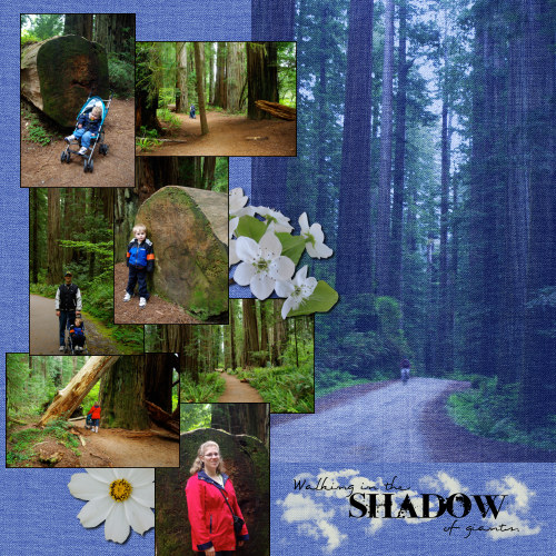 Jedediah Smith State Park
