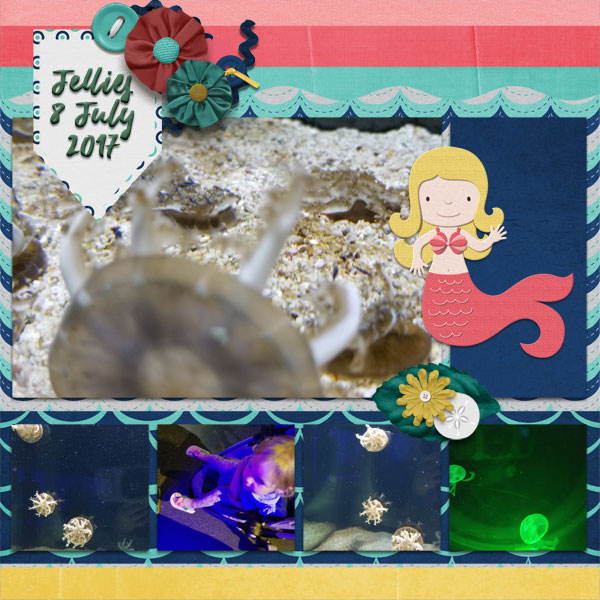 Jellies 11/13