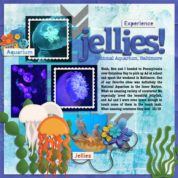 Jellies!