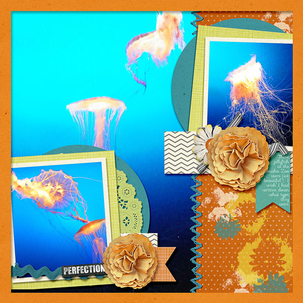 JellyFish