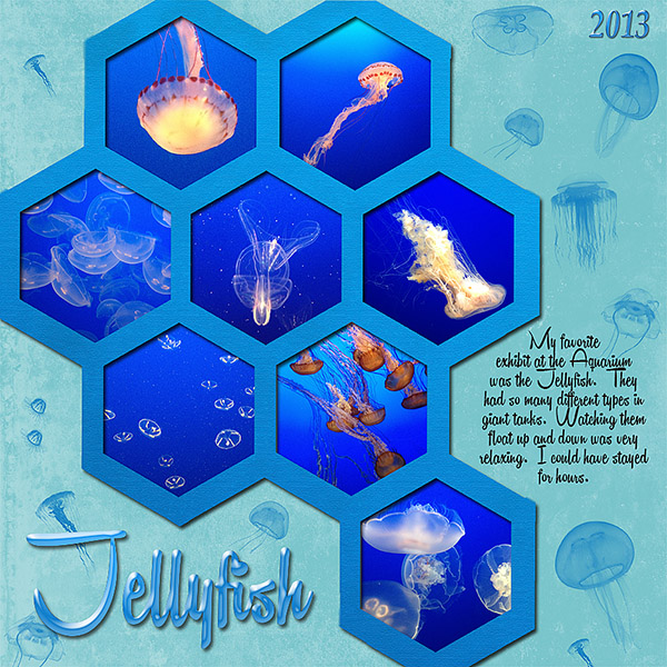 Jellyfish