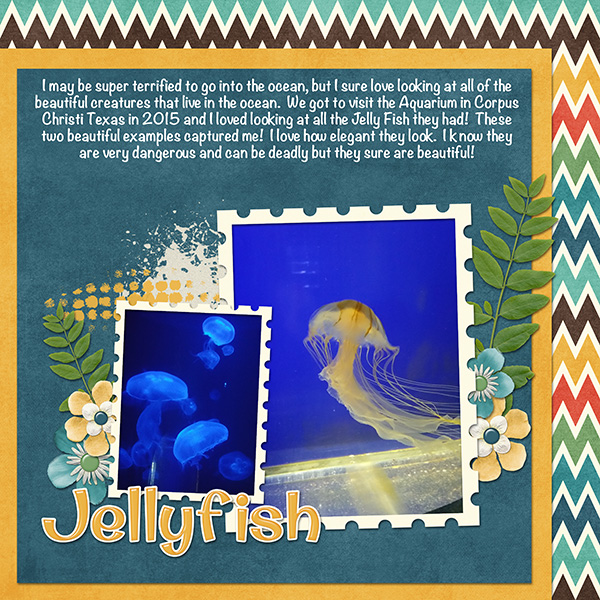 Jellyfish