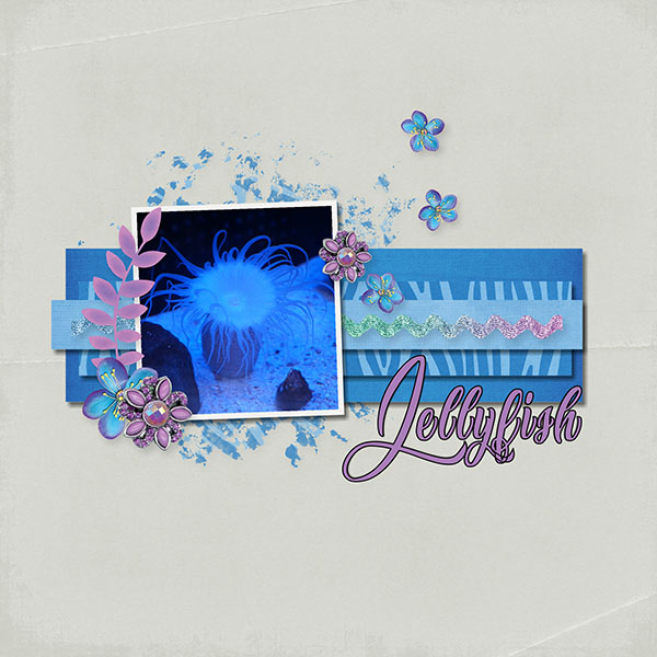 Jellyfish