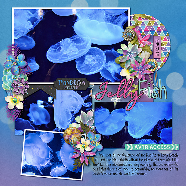 Jellyfish