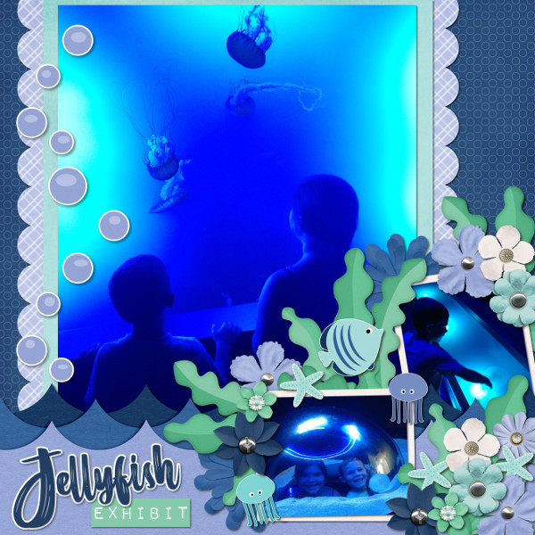 Jellyfish